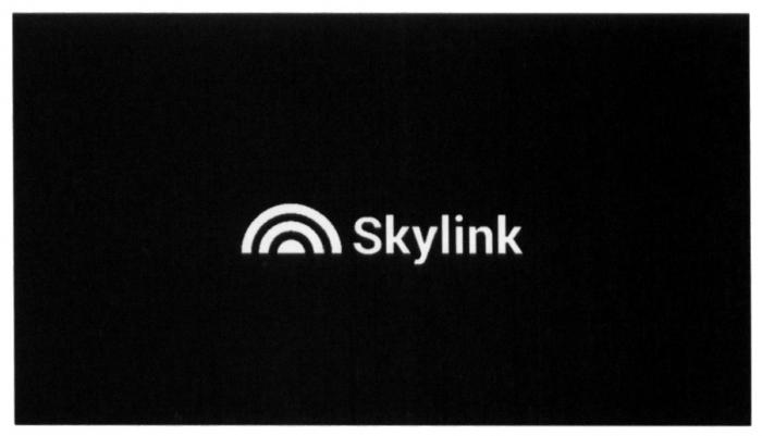 SKYLINK SKYSKY