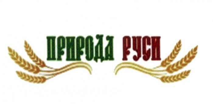 ПРИРОДА РУСИ РУСЬРУСЬ