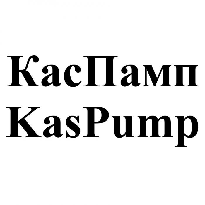 КАСПАМП KASPUMP КАСПАМП ПАМП КАС ПАМП KAS PUMPPUMP