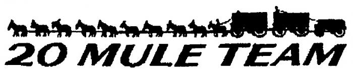 20 MULE TEAM