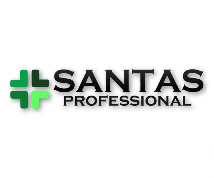 SANTAS PROFESSIONAL SANTAS