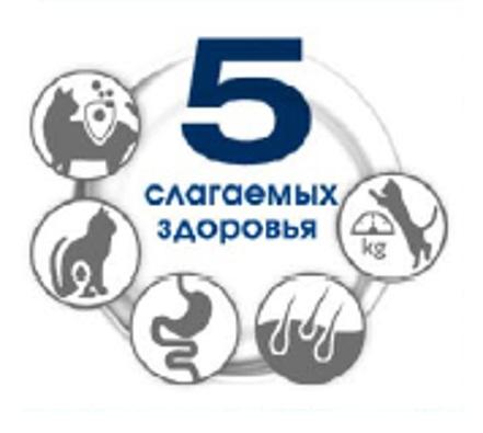 5 СЛАГАЕМЫХ ЗДОРОВЬЯ KGKG