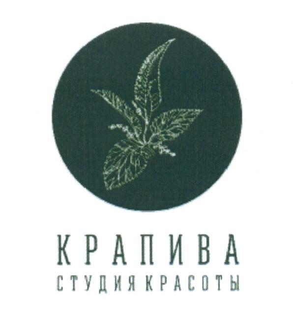 КРАПИВА СТУДИЯ КРАСОТЫКРАСОТЫ