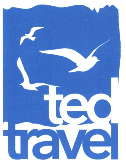 TED TRAVEL TEDTRAVEL TED