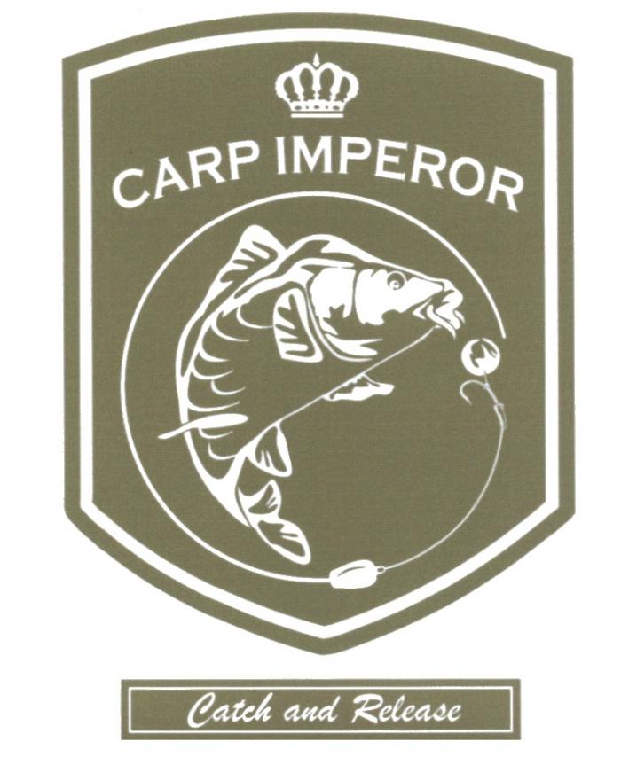 CARP IMPEROR CATCH AND RELEASERELEASE
