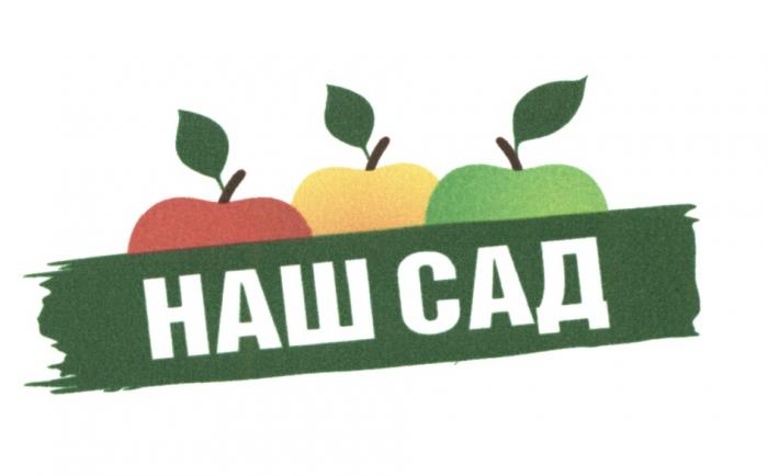 НАШ САДСАД