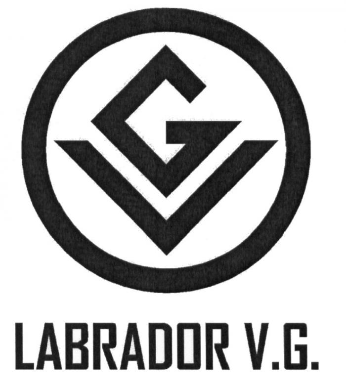 LABRADOR V.G. VG GVGV