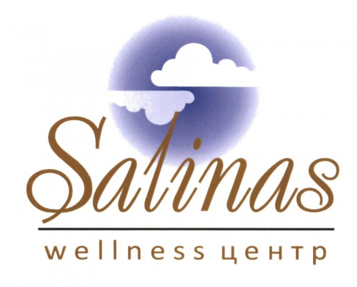 SALINAS WELLNESS ЦЕНТР SALINAS