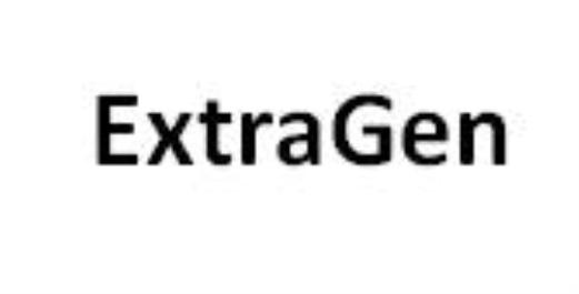 EXTRAGEN EXTRA GENGEN