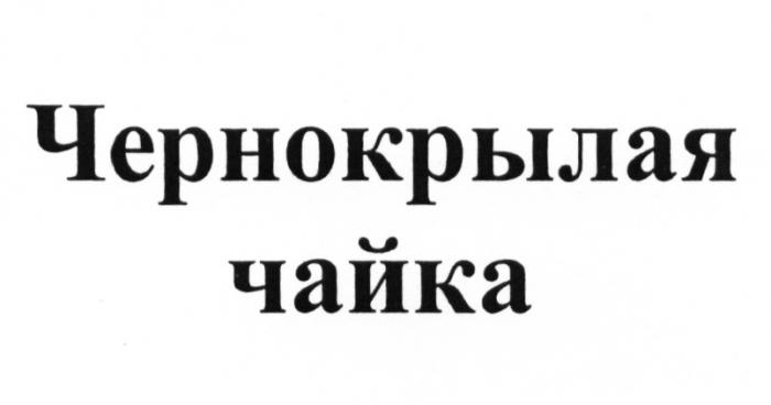 ЧЕРНОКРЫЛАЯ ЧАЙКА ЧЁРНОКРЫЛАЯЧEРНОКРЫЛАЯ