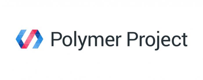 POLYMER PROJECTPROJECT