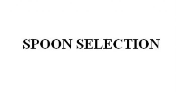 SPOON SELECTIONSELECTION