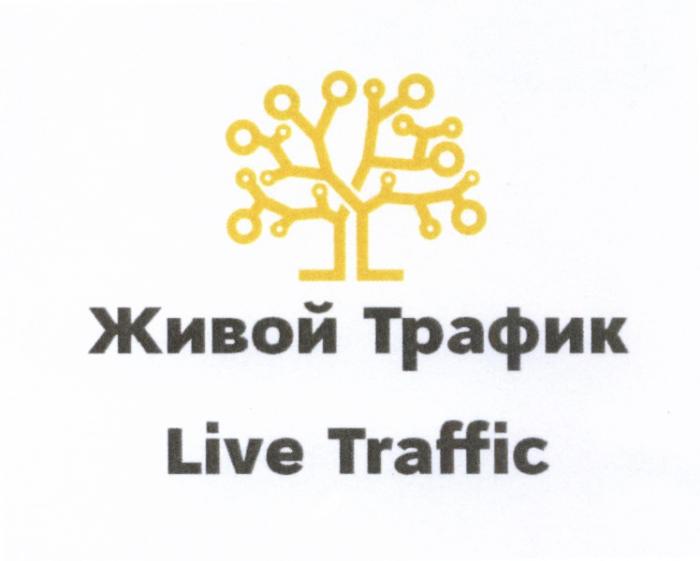 ЖИВОЙ ТРАФИК LIVE TRAFFICTRAFFIC