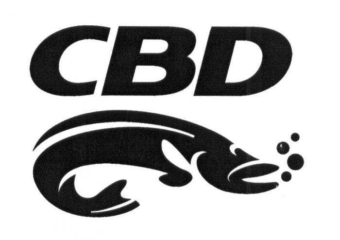 СВД CBDCBD