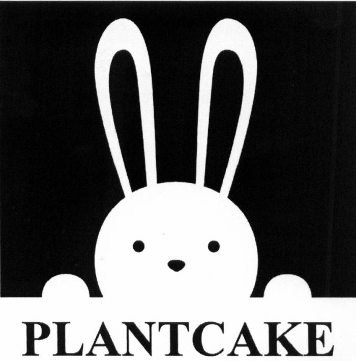 PLANTCAKE PLANT CAKECAKE