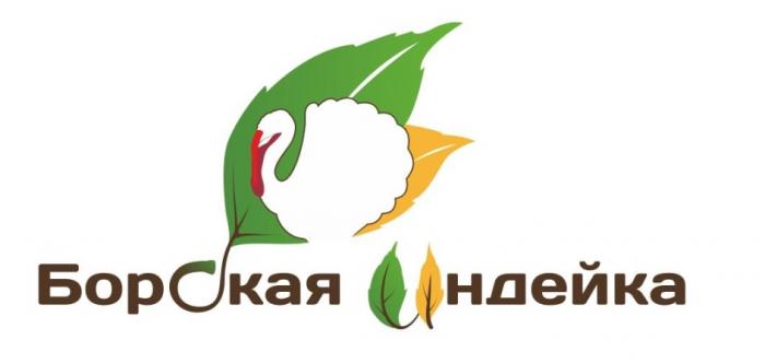 БОРСКАЯ ИНДЕЙКА БОРСКАЯ