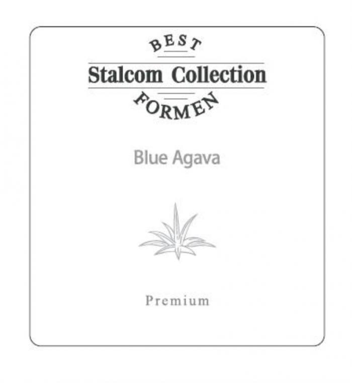 STALCOM COLLECTION BEST FORMEN BLUE AGAVA PREMIUM STALCOM AGAVA FORMEN