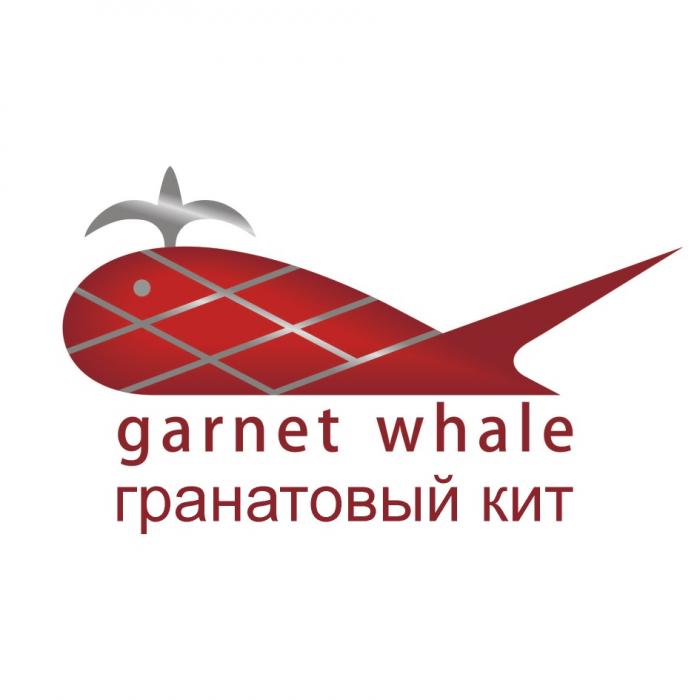 GARNET WHALE ГРАНАТОВЫЙ КИТКИТ