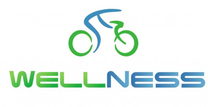 WELLNESS WELL NESSNESS