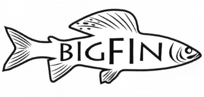 BIGFIN BIG FINFIN