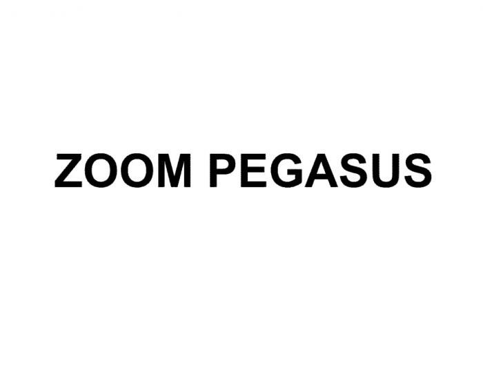 ZOOM PEGASUSPEGASUS