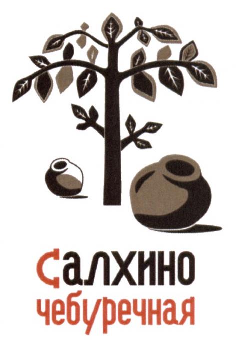 САЛХИНО ЧЕБУРЕЧНАЯ САЛХИНО АЛХИНО АЛХИНО