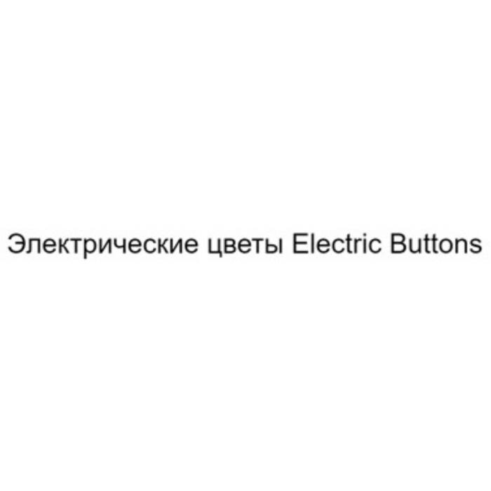 ЭЛЕКТРИЧЕСКИЕ ЦВЕТЫ ELECTRIC BUTTONSBUTTONS