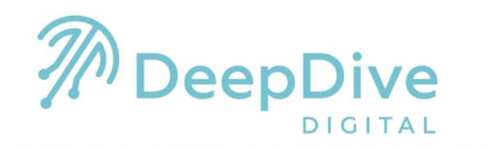 DEEPDIVE DIGITAL DEEPDIVE DEEP DIVEDIVE