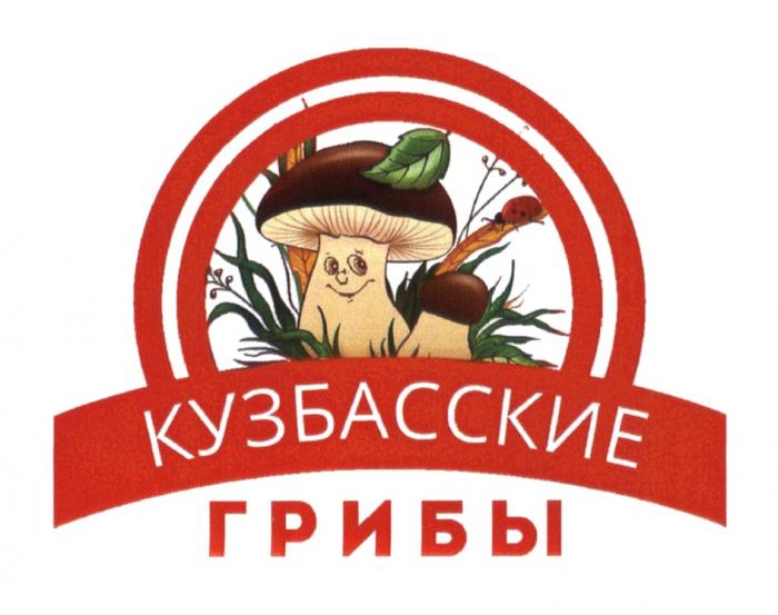 КУЗБАССКИЕ ГРИБЫ КУЗБАССКУЗБАСС