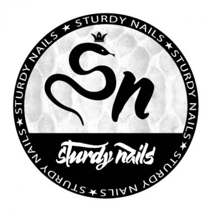 SN STURDY NAILSNAILS