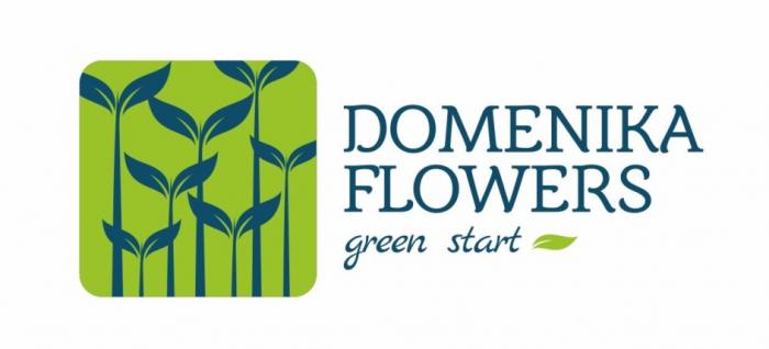 DOMENIKA FLOWERS GREEN START DOMENIKA