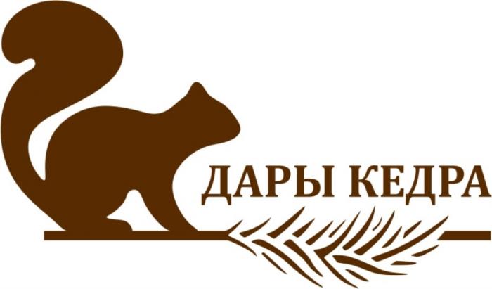 ДАРЫ КЕДРА КЕДРКЕДР