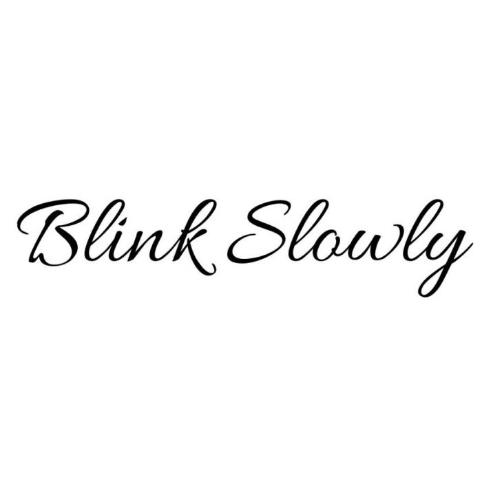 BLINK SLOWLYSLOWLY