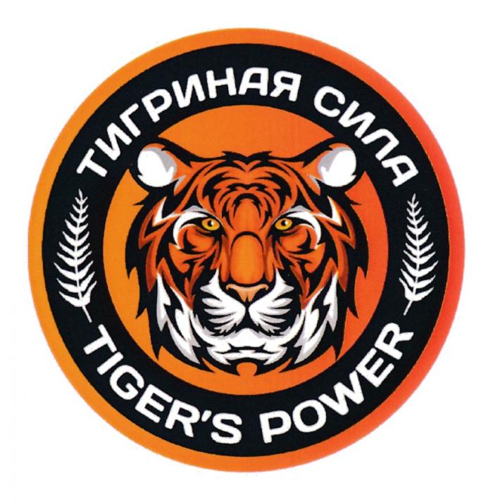 ТИГРИНАЯ СИЛА TIGERS POWERTIGER'S POWER