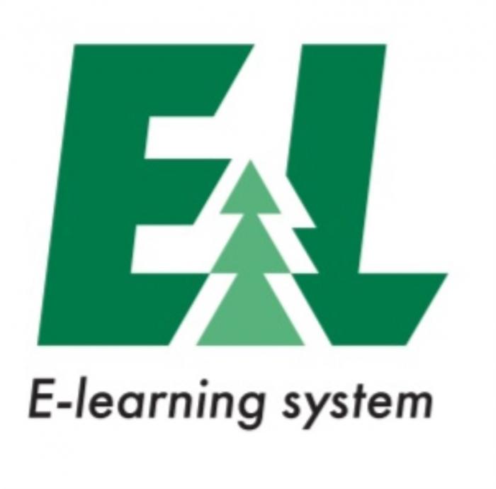 EL E-LEARNING SYSTEMSYSTEM