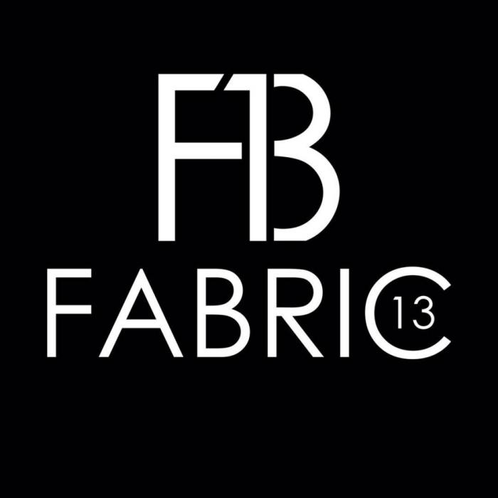 F13 FABRIC 1313