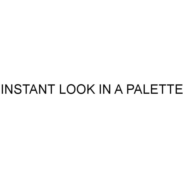 INSTANT LOOK IN A PALETTEPALETTE