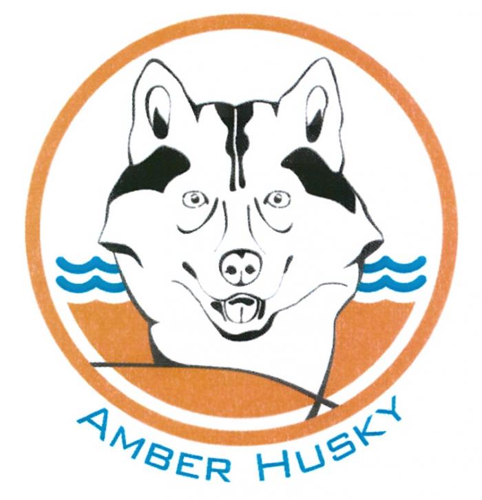 AMBER HUSKYHUSKY