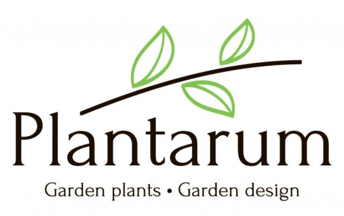 PLANTARUM GARDEN PLANTS GARDEN DESIGNDESIGN