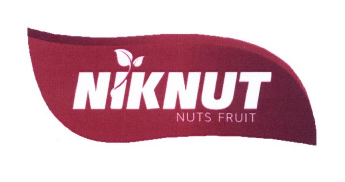 NIKNUT NUTS FRUITFRUIT