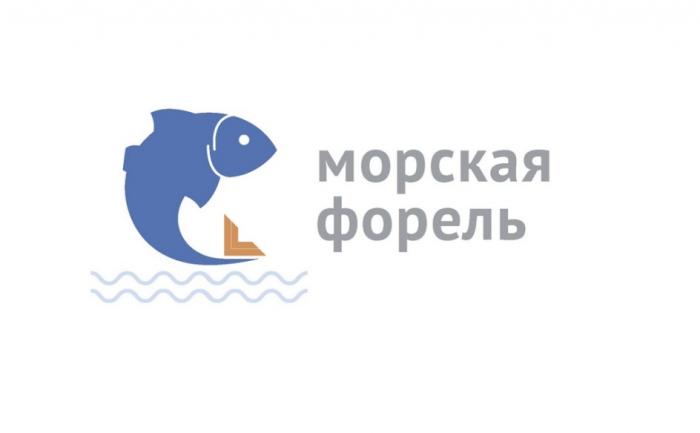 МОРСКАЯ ФОРЕЛЬФОРЕЛЬ