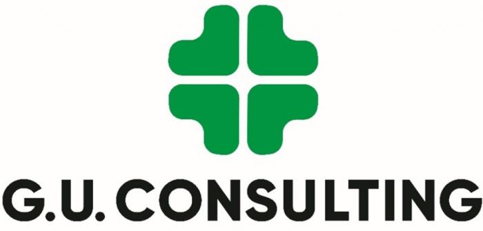 G.U.CONSULTINGG.U.CONSULTING