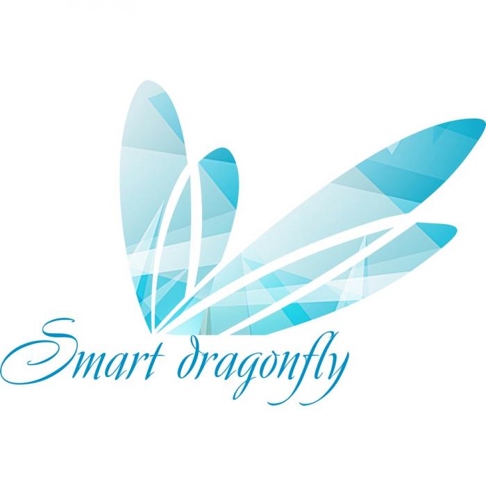 SMART DRAGONFLYDRAGONFLY