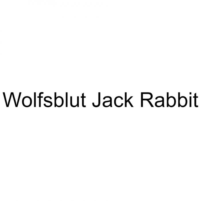 WOLFSBLUT JACK RABBITRABBIT
