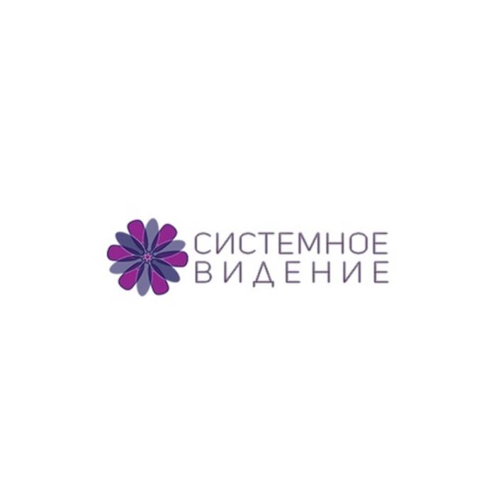 СИСТЕМНОЕ ВИДЕНИЕВИДЕНИЕ