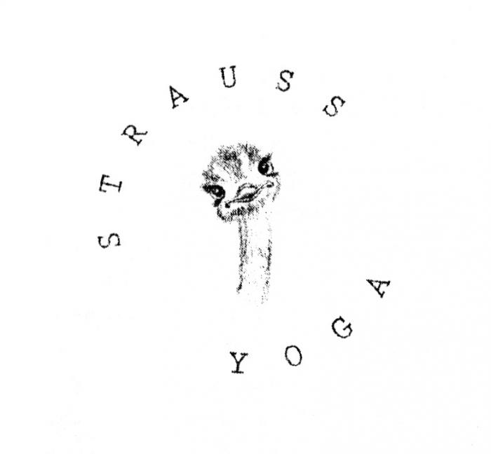 STRAUSS YOGAYOGA