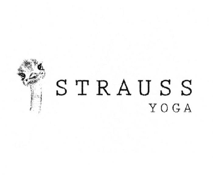 STRAUSS YOGAYOGA