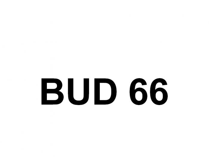 BUD 6666