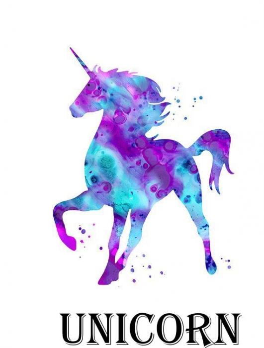 UNICORNUNICORN