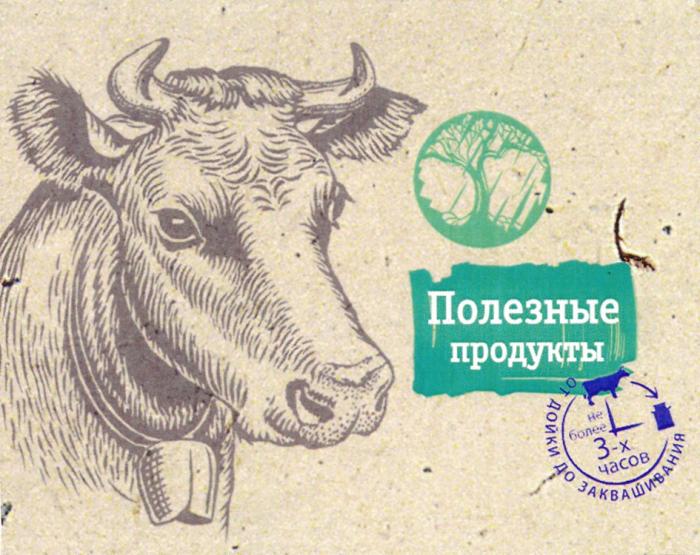 ПОЛЕЗНЫЕ ПРОДУКТЫ ОТ ДОЙКИ ДО ЗАКВАШИВАНИЯ НЕ БОЛЕЕ 3-Х ЧАСОВЧАСОВ